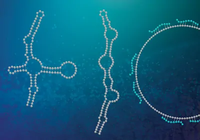 Illustration of RNAs Illustration of RNAs